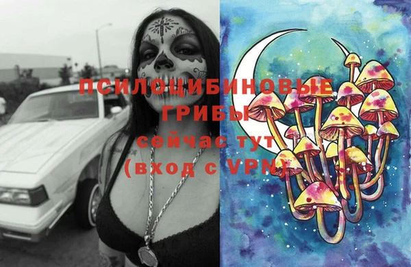 прущая мука Баксан