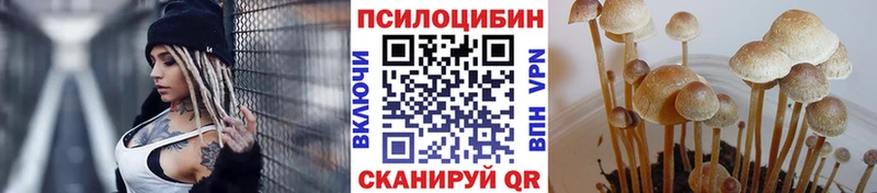 Галлюциногенные грибы прущие грибы  Купить где  Анива 